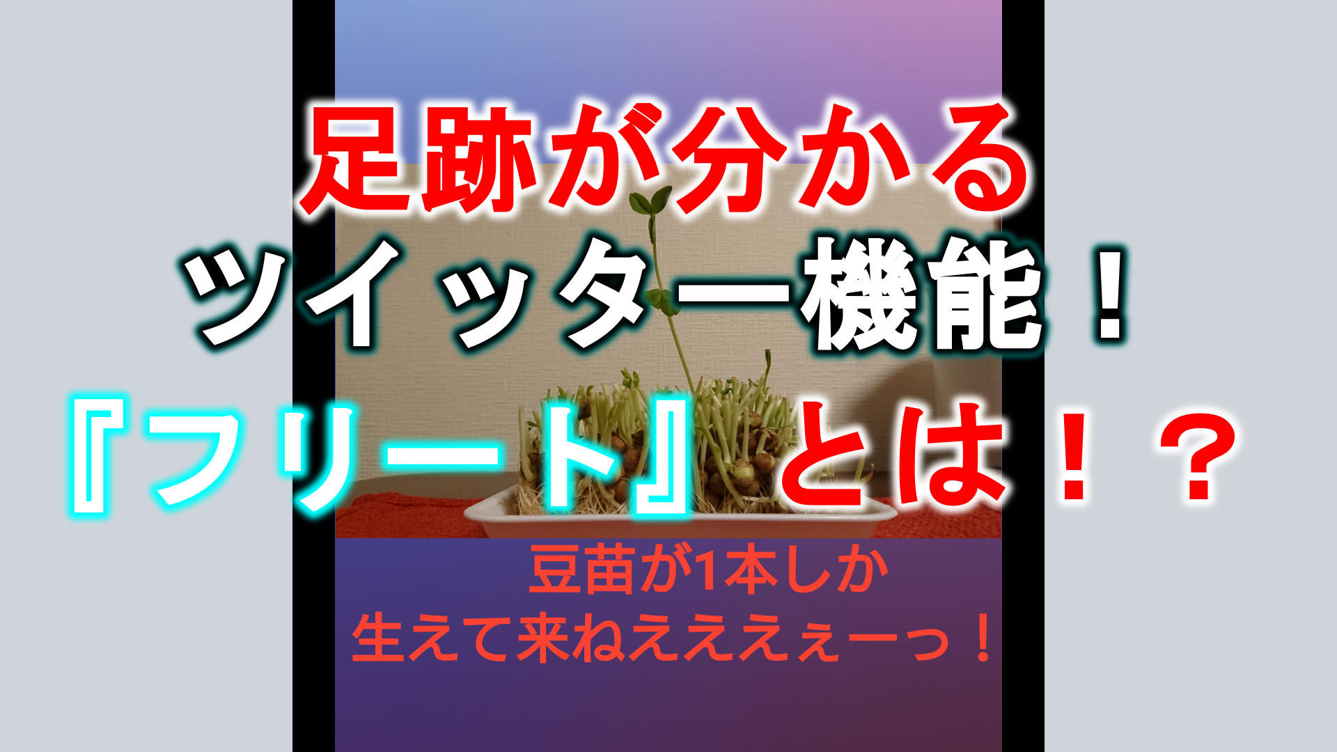 Twitter フリートとは足跡が分かる自動で消えるツイート機能 ベロデテルは思った